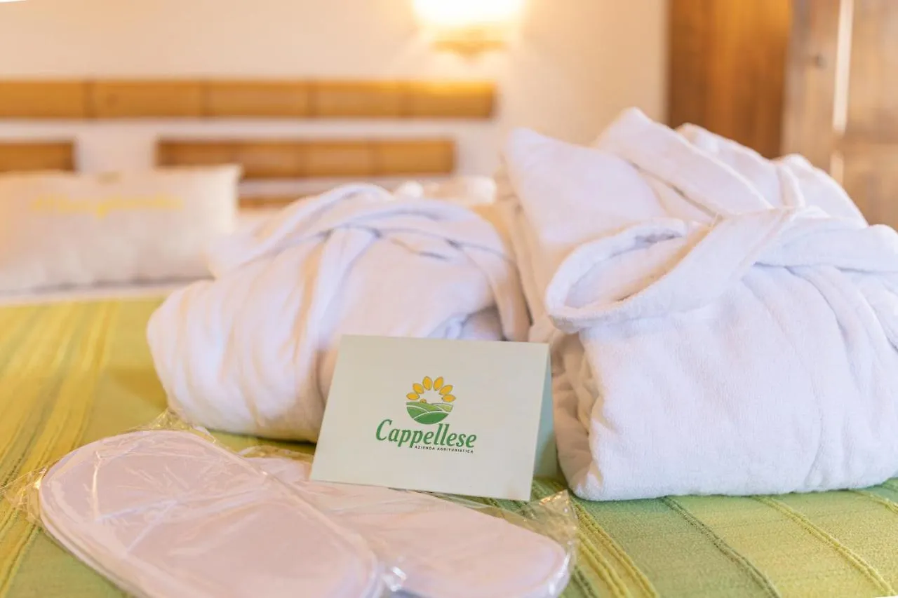 Séjour à la campagne Agriturismo Cappellese Castelnuovo della Misericordia Italie