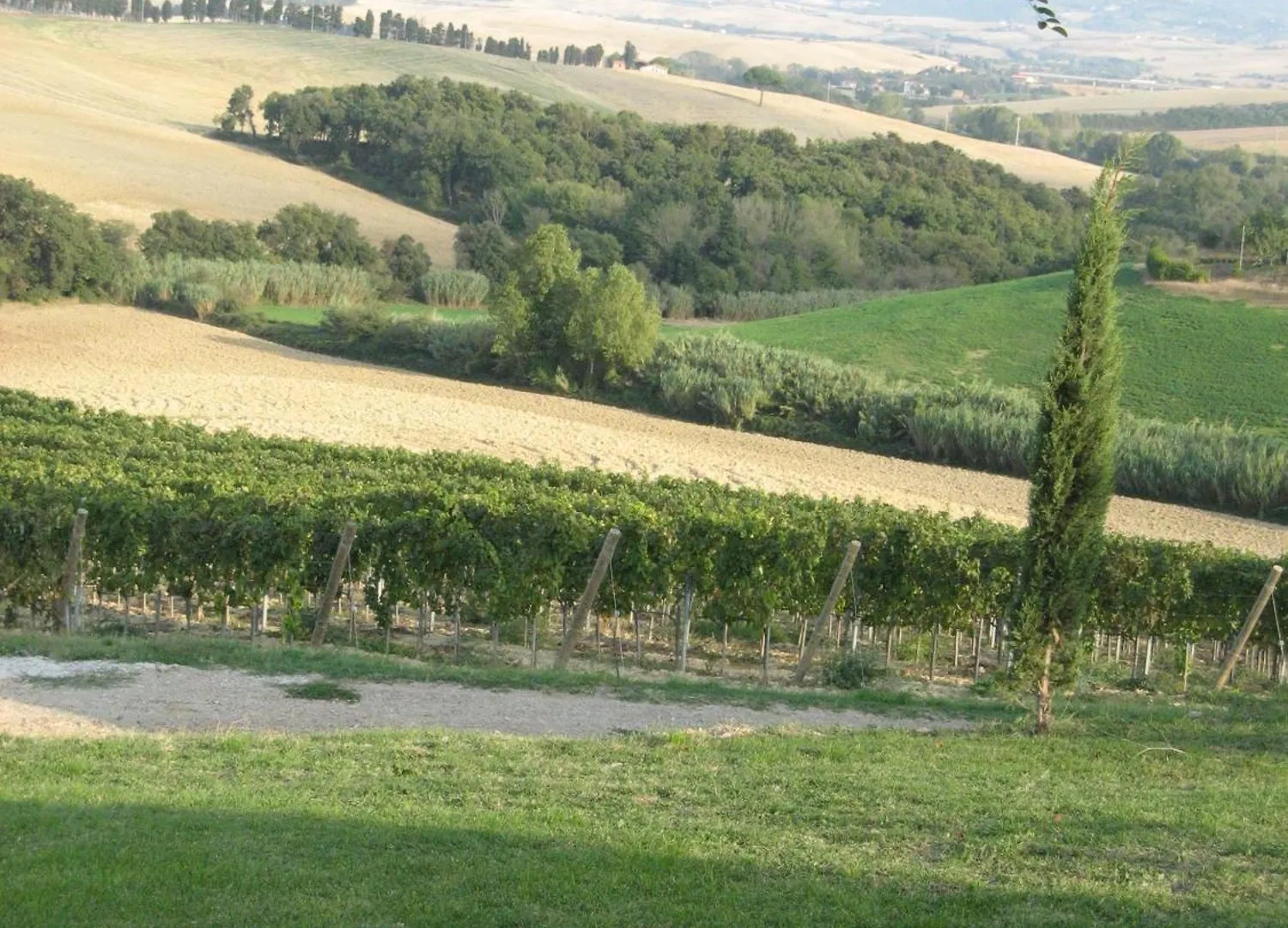 Agriturismo Cappellese Castelnuovo della Misericordia Séjour à la campagne